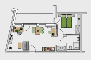 Studentenwohnung SUITE Premium LOGGIA Grundriss